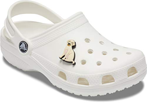 Crocs Jibbitz Pet Yellow Lab Shoe Charm | Jibbitz for Crocs