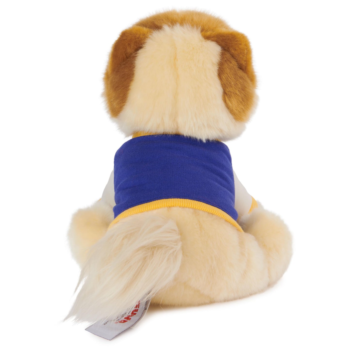 GUND Boo, The World’s Cutest Dog: Pomeranian Plush in Varsity Jacket