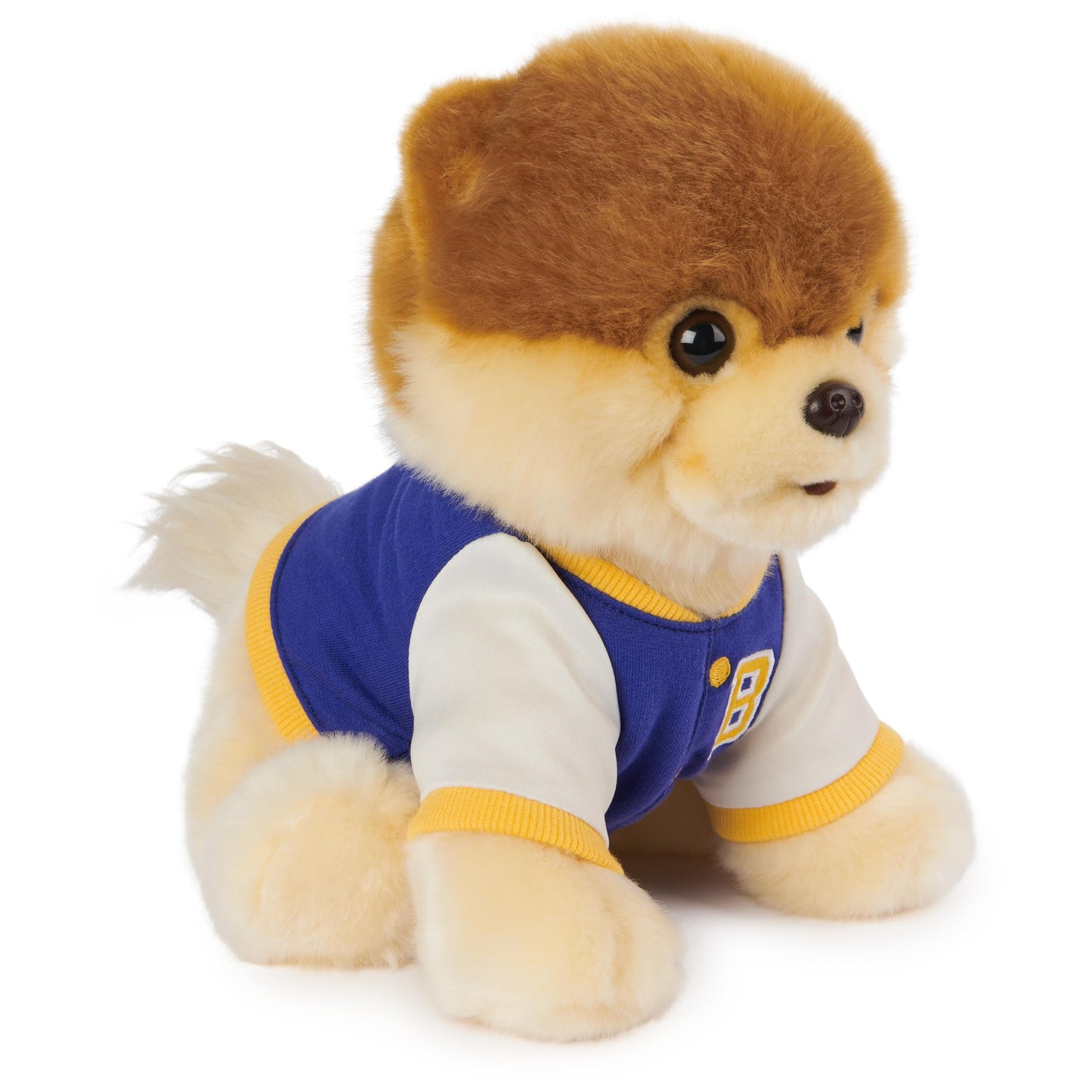 GUND Boo, The World’s Cutest Dog: Pomeranian Plush in Varsity Jacket